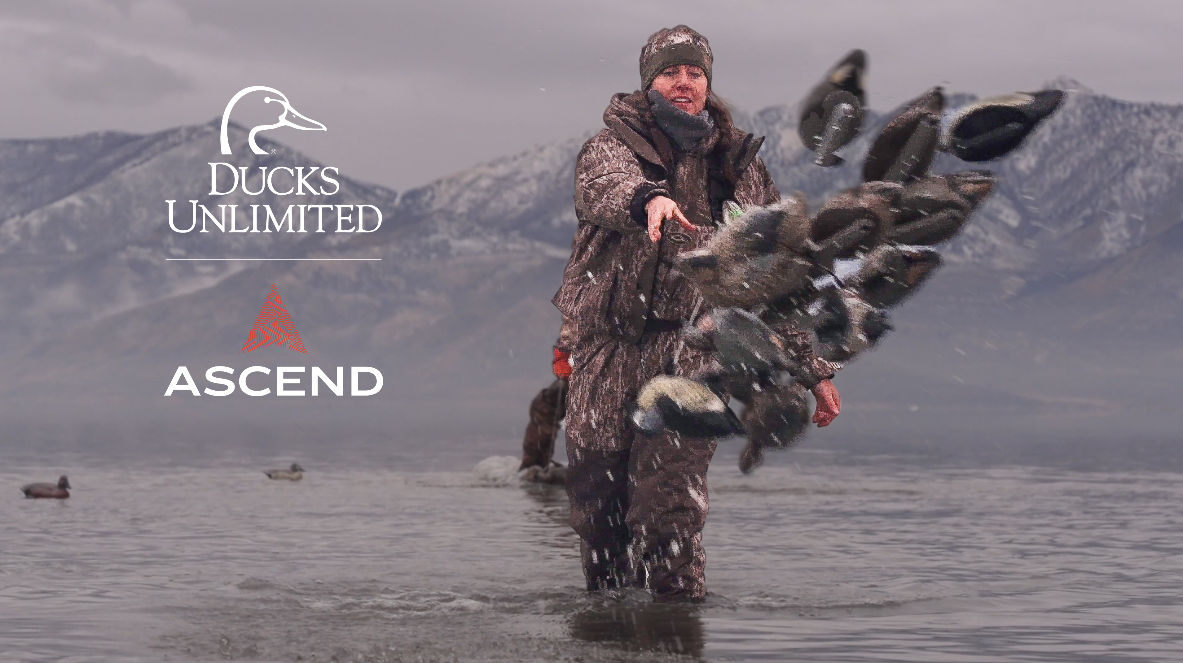 Image for Ducks Unlimited Launches 